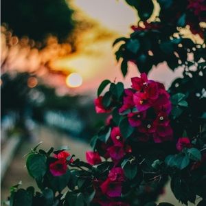 Meet your Posher, Christi